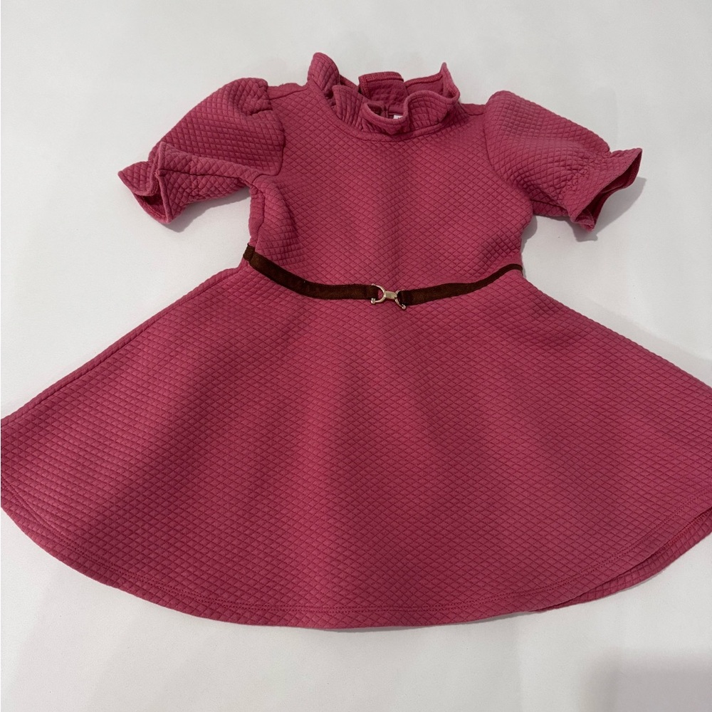 Janie and Jack dress in old pink toddler 2T